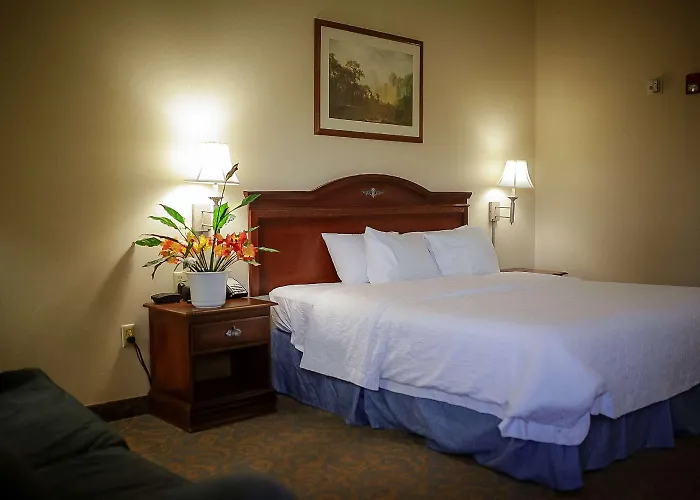 Hotel Surestay By Western 4*
