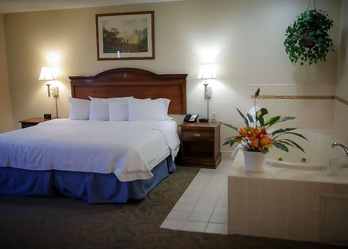 Surestay By Western Hotel 4*