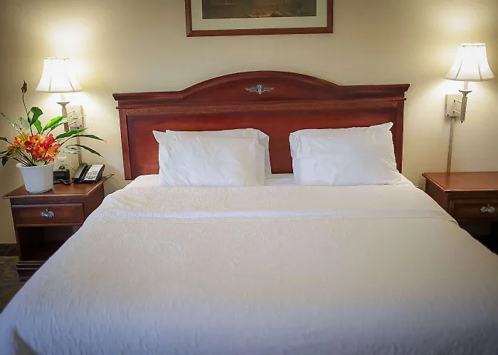 Hotel Surestay By Western