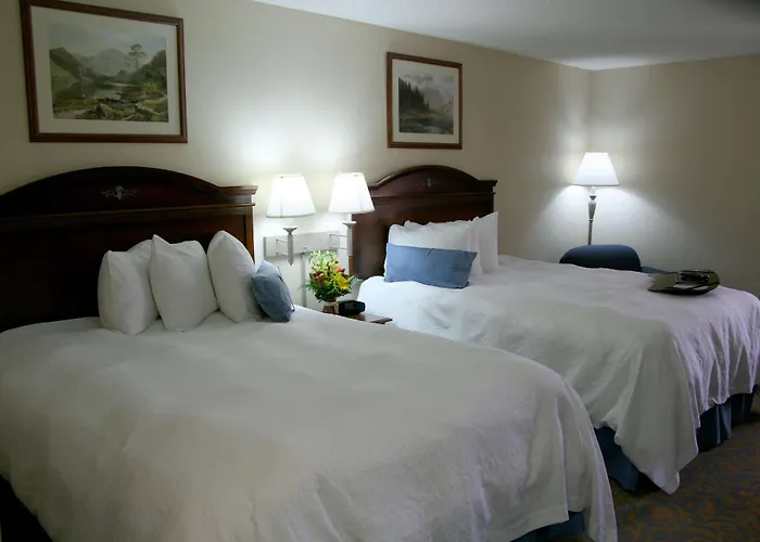 Hotel Surestay By Western 4*