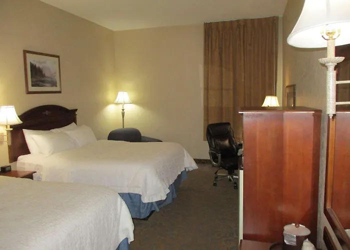 Surestay By Western Hotel 4*