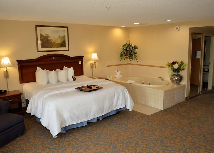 Surestay By Western Hotel 4*