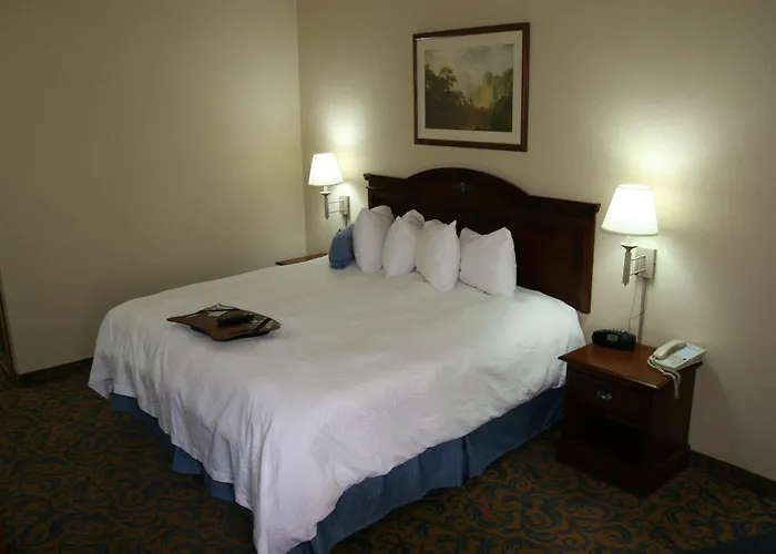 Hotel Surestay By Western 4*