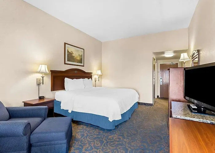 Hotel Surestay By Western 4*