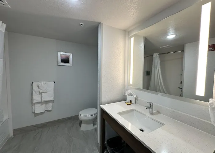 Hotel Surestay By Western 4*